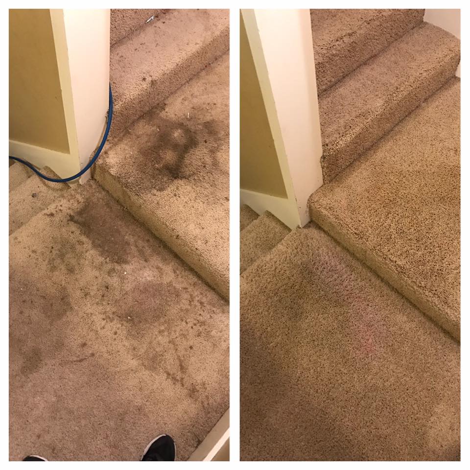 before and after carpet cleaning