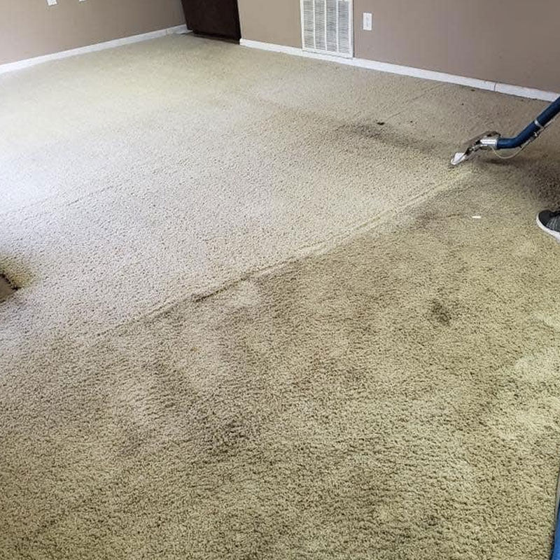 carpet cleaning in oxford ms