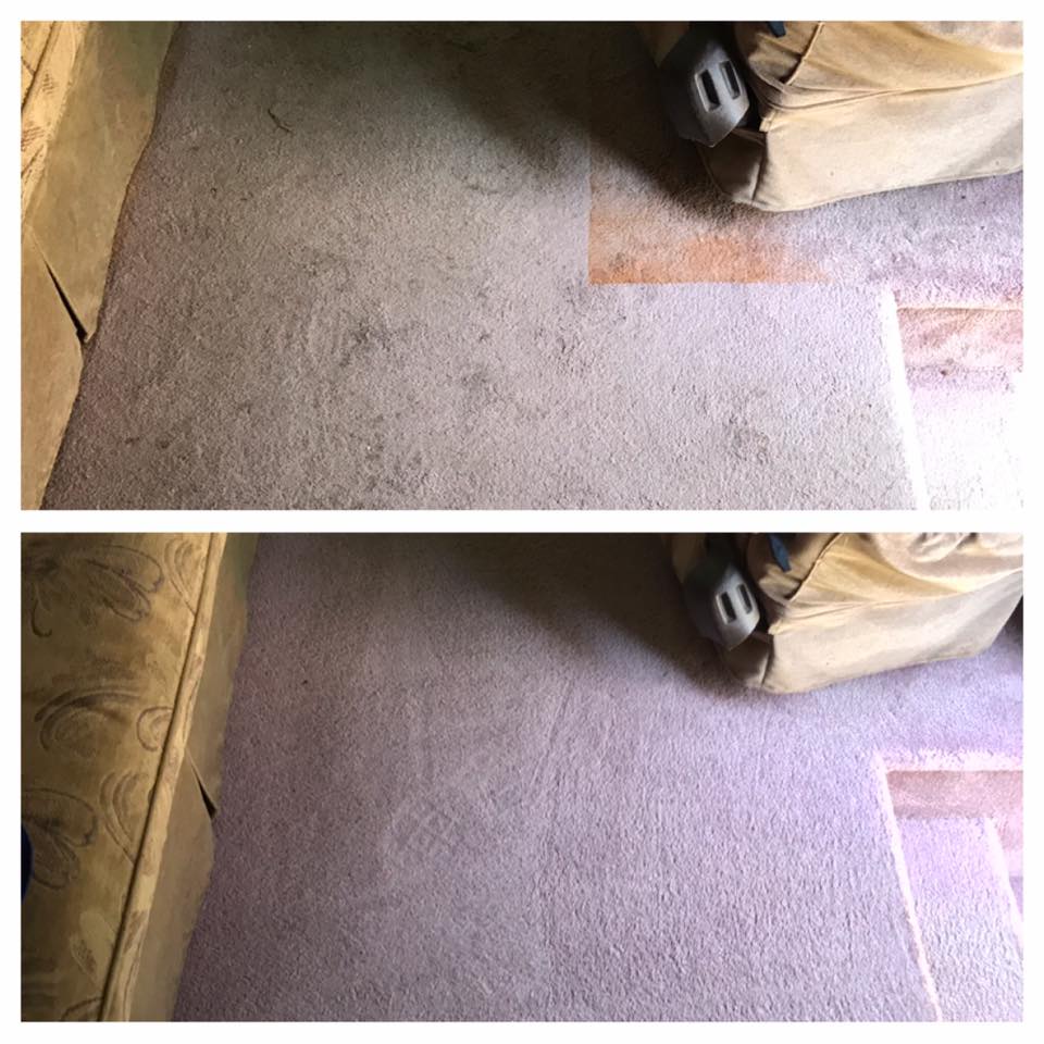 carpet cleaning tupelo
