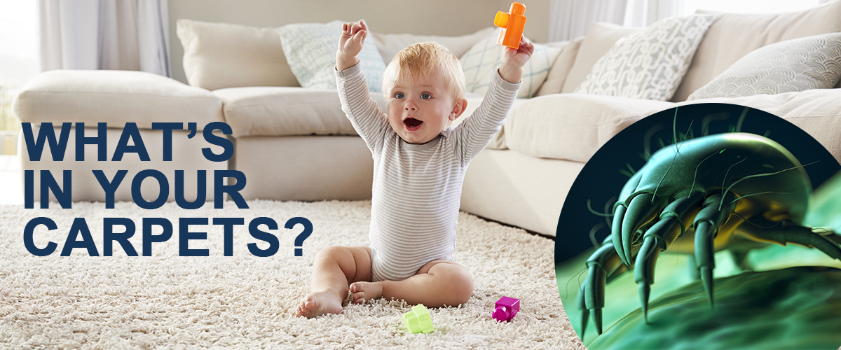 4 Reasons to Get Your Carpets and Rugs Professionally Cleaned